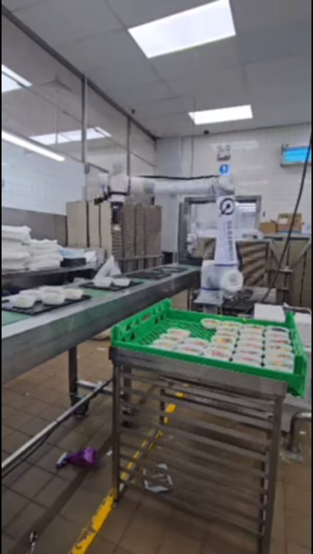 Airline Catering Robotics Packaging