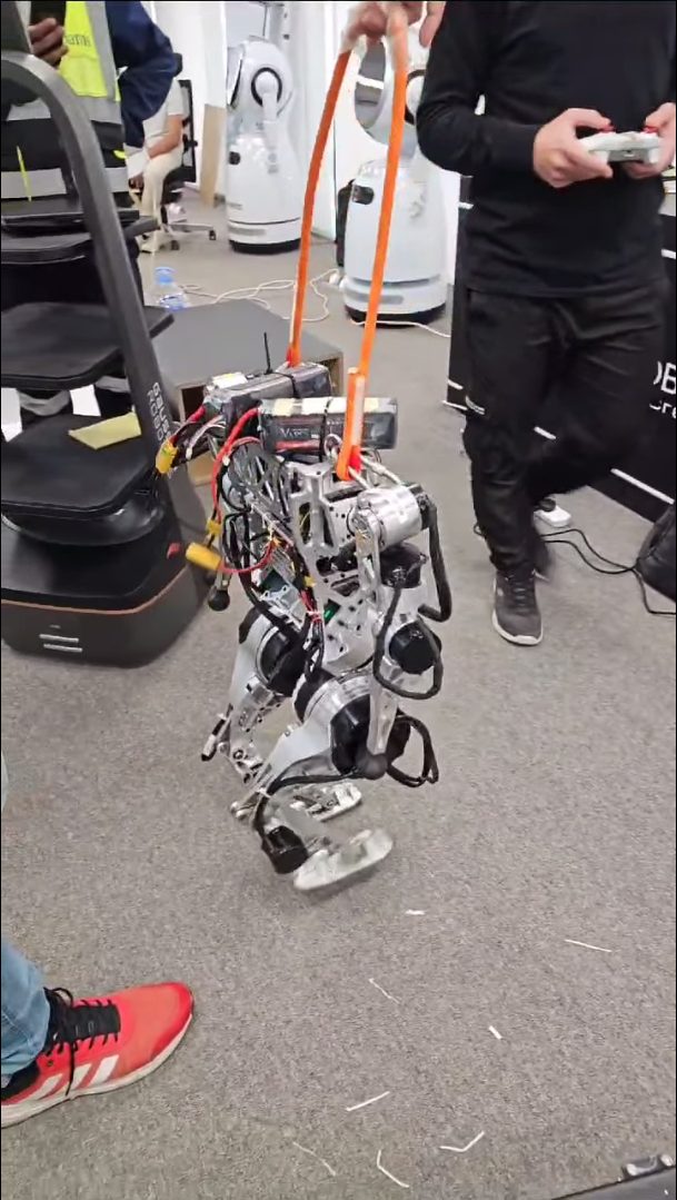 Humanoid Robots In House